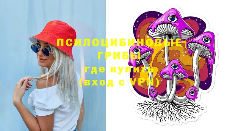 Псилоцибиновые грибы Psilocybe  Калининец 